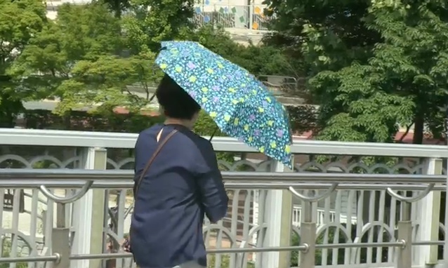 뉴스 쎔네일 이미지