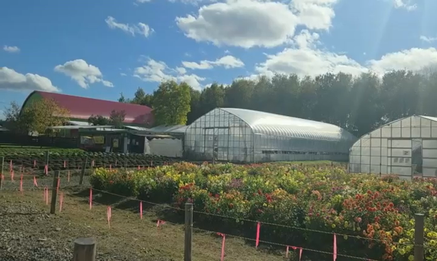 뉴스 쎔네일 이미지