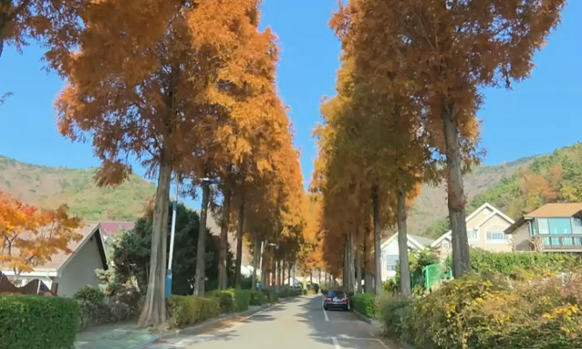 뉴스 쎔네일 이미지