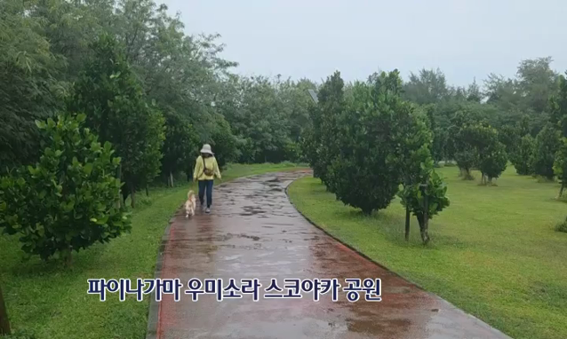 뉴스 쎔네일 이미지