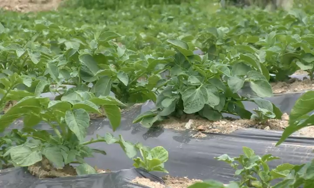 뉴스 쎔네일 이미지