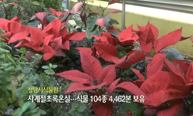 뉴스 쎔네일 이미지