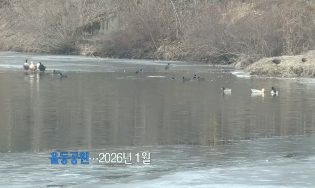 뉴스 쎔네일 이미지