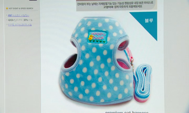 뉴스 쎔네일 이미지