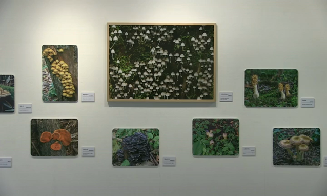 뉴스 쎔네일 이미지