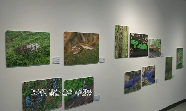 뉴스 쎔네일 이미지