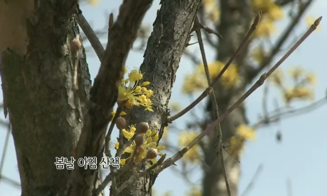 뉴스 쎔네일 이미지