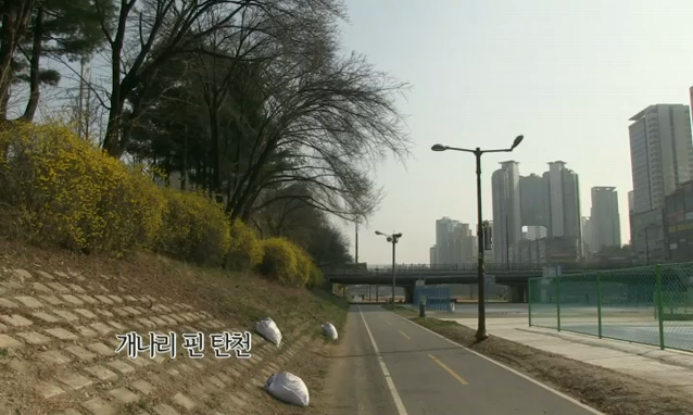 뉴스 쎔네일 이미지