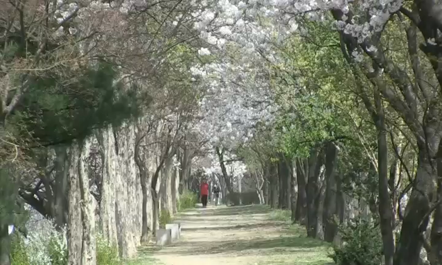 뉴스 쎔네일 이미지