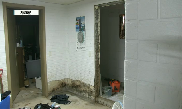 뉴스 쎔네일 이미지