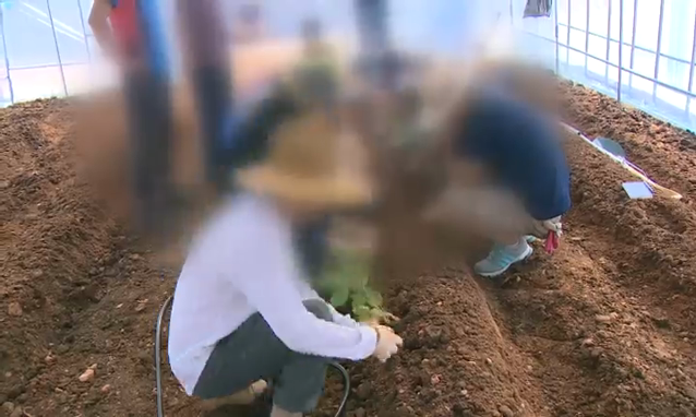 뉴스 쎔네일 이미지