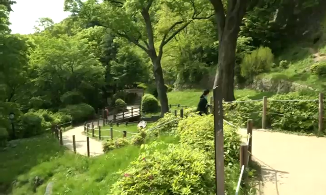 뉴스 쎔네일 이미지