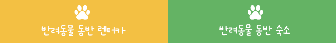 ����ī��ǰ����