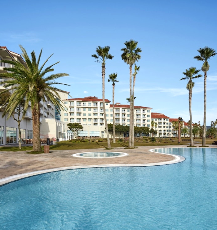 �غ�ġ����Ʈ �ű� ���� �� Ư��