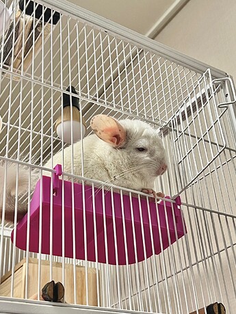 KakaoTalk_20250625_231125568