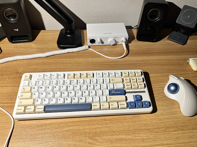 3686F291-FA4E-4B6F-8E34-1D710E3CBDD7_1_201_a