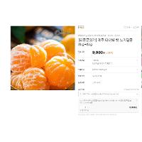 제주 타이벡 햇 노지감귤 8kg+8kg