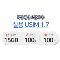 실용유심 1.5GB, 음성문자 100분/건