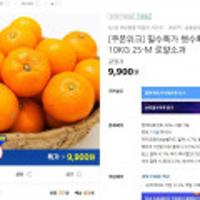 햇수확 제주감귤 10KG 2S-M 로얄소과