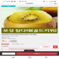 국내산 전남 보성 하진경님의 골드키위 2kg