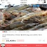 국내산 활새우1kg (22-29미) 대사이즈
