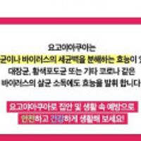 요고야 아쿠아 손세정제 2개이상 주문시 배송비 무료