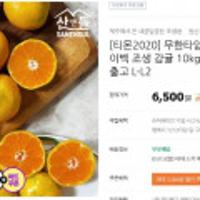 무한타임 청정 제주 산앤들 타이벡 조생 감귤 10kg 중대과 서귀포 빠른출고 L-L2