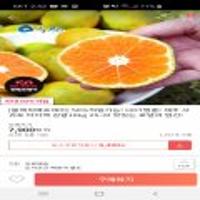 제주 서귀포 타이벡 감귤10kg