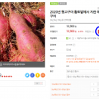 해남꿀고구마 10KG 특상 및 다양