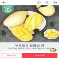 태국망고 신선지구 (쿠폰적용가 29900원) 항공직송 태국골드망고 대과 5kg(10-14과)