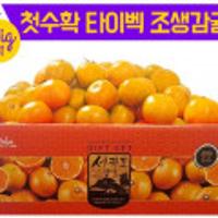 제주 달콤 조생 타이벡 감귤 10kg 로얄소과(2S~M)