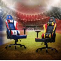 게이밍의자 에이픽스 CG001프랑스