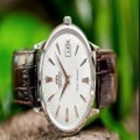 오리엔트 밤비노 신형 무브 + 초기 디자인