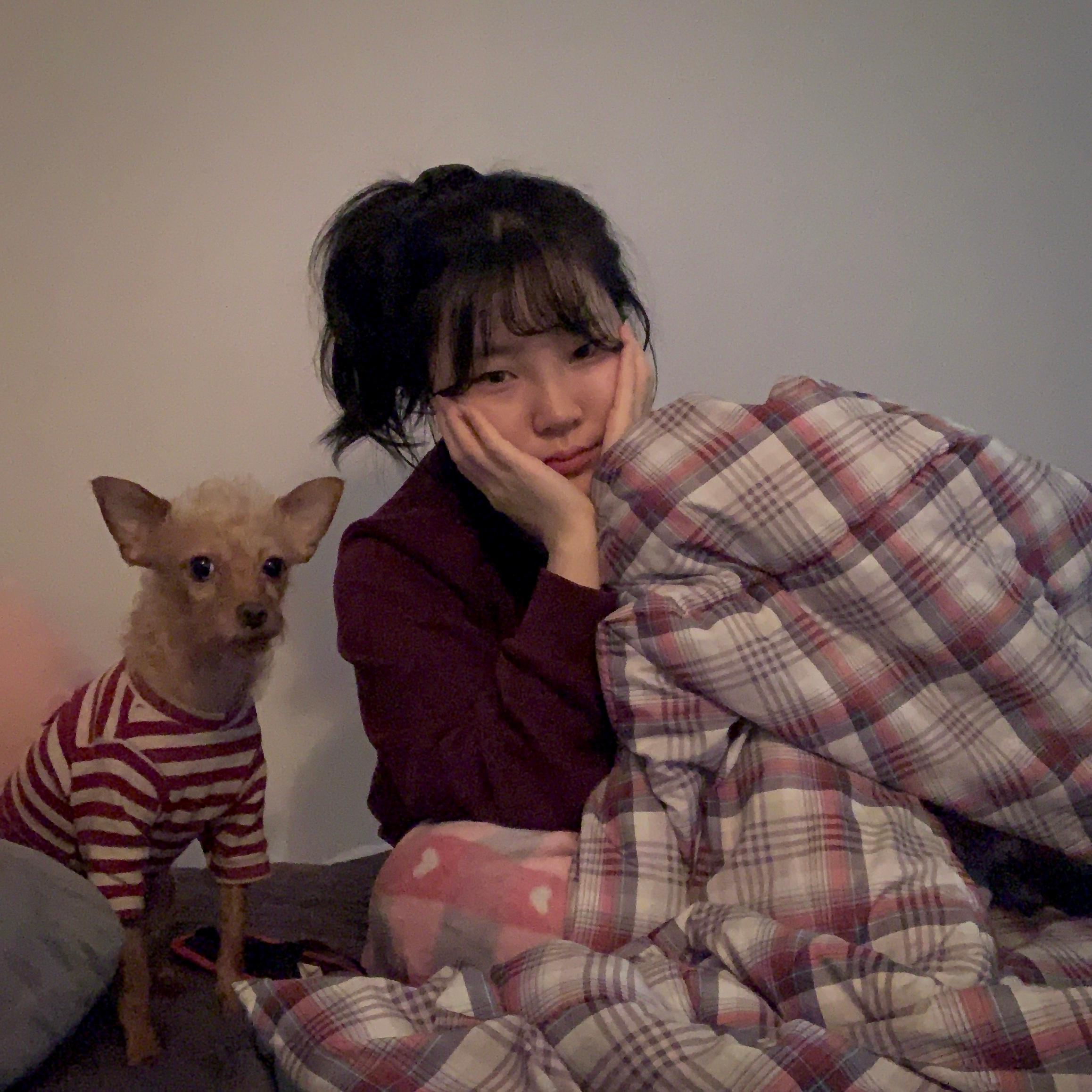 이미지