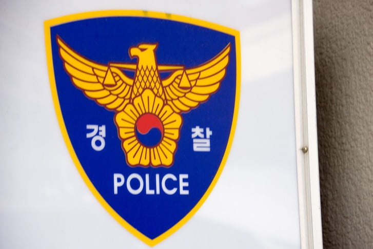 불법 핀플루언서 사기 실태 및 중장년층 투자자 보호 분석 리포트