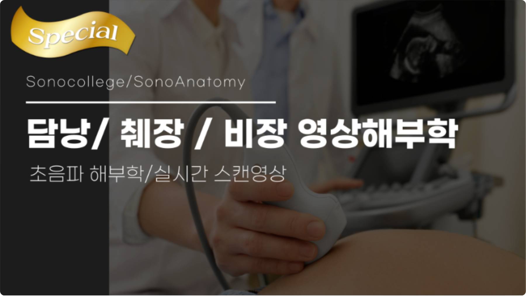 담낭/췌장/비장 초음파해부학 (SonoAnatomy)