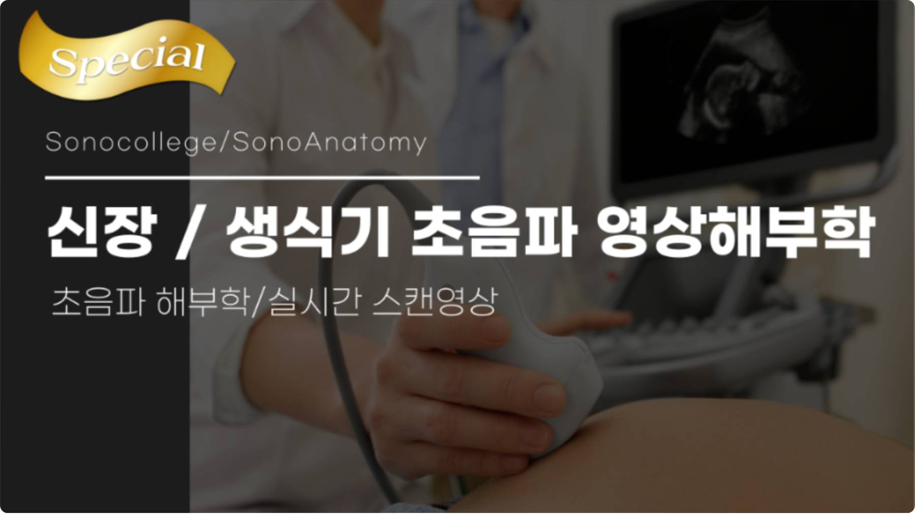 신장/생식기 초음파 영상해부학 (SonoAnatomy)