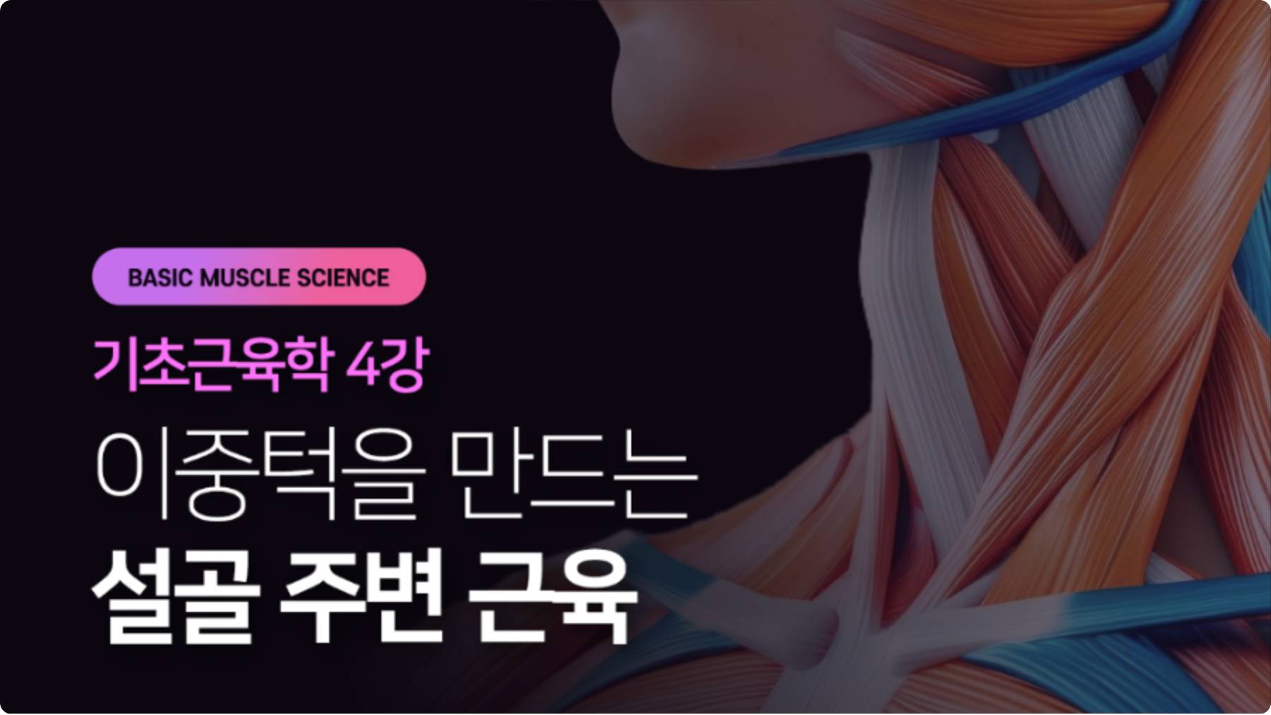 기초근육학 4강 - 이중턱을 만드는 설골 주변 근육