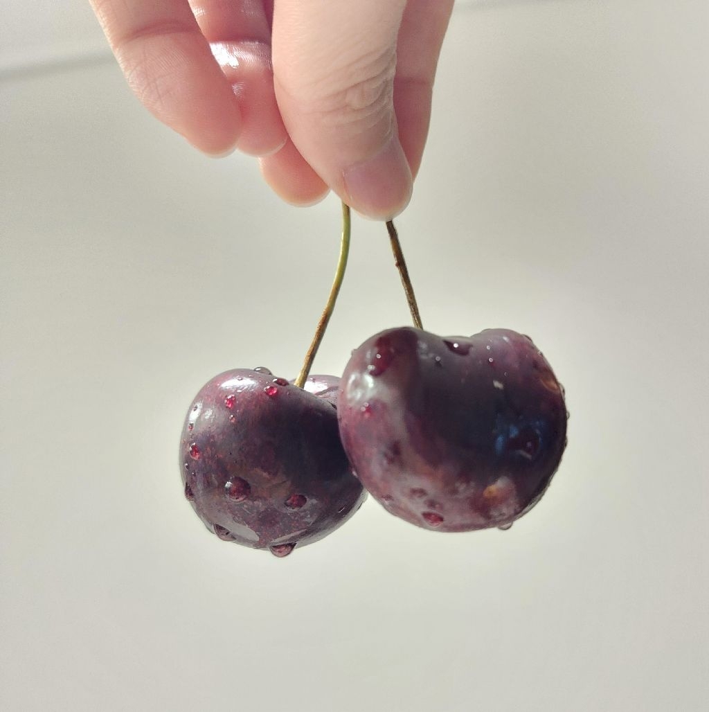 먹보요정님의 리뷰 이미지