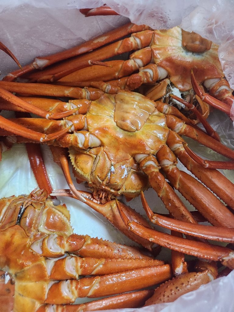프랑님의 리뷰 이미지