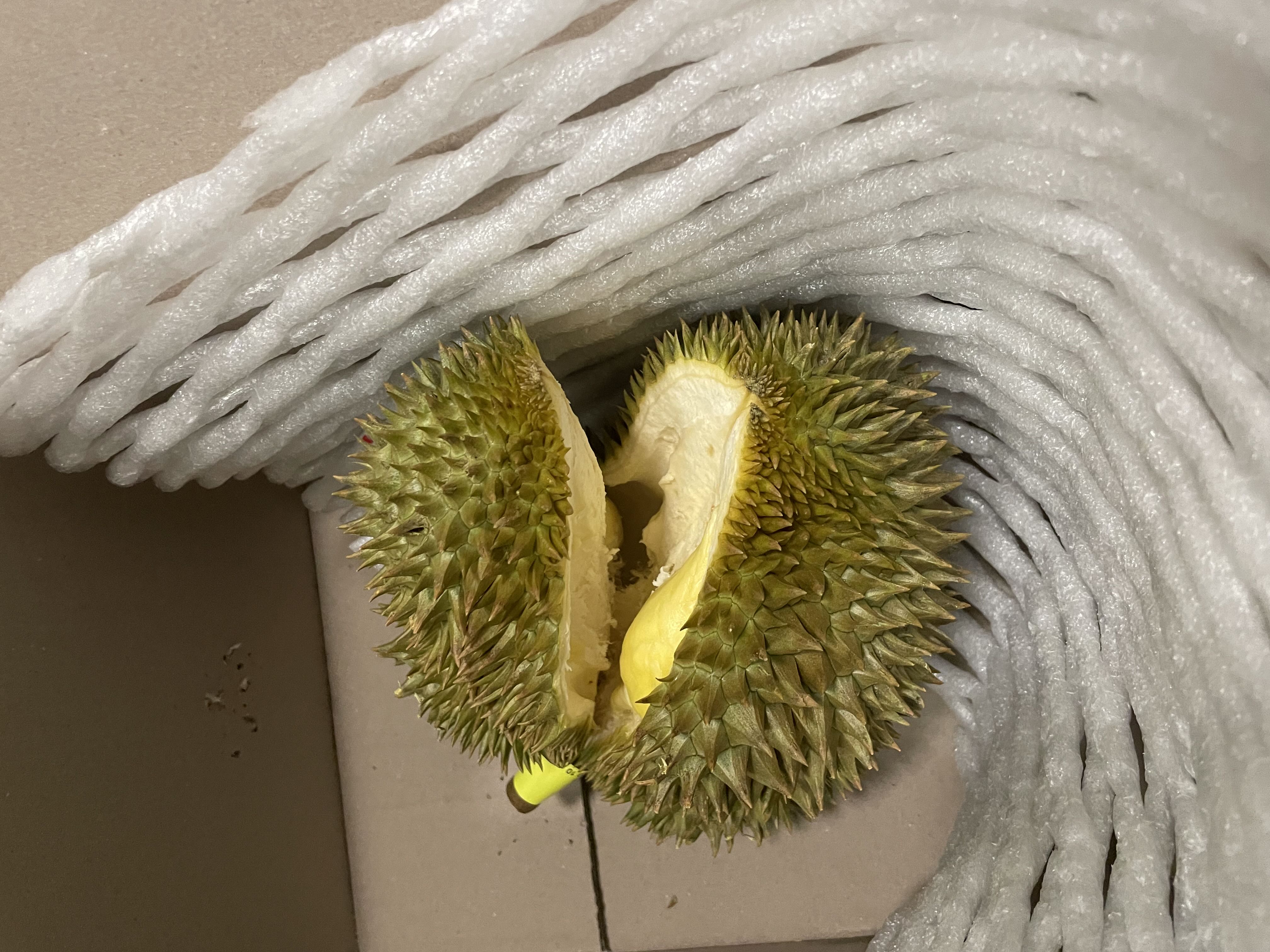 8426P9n2님의 리뷰 이미지