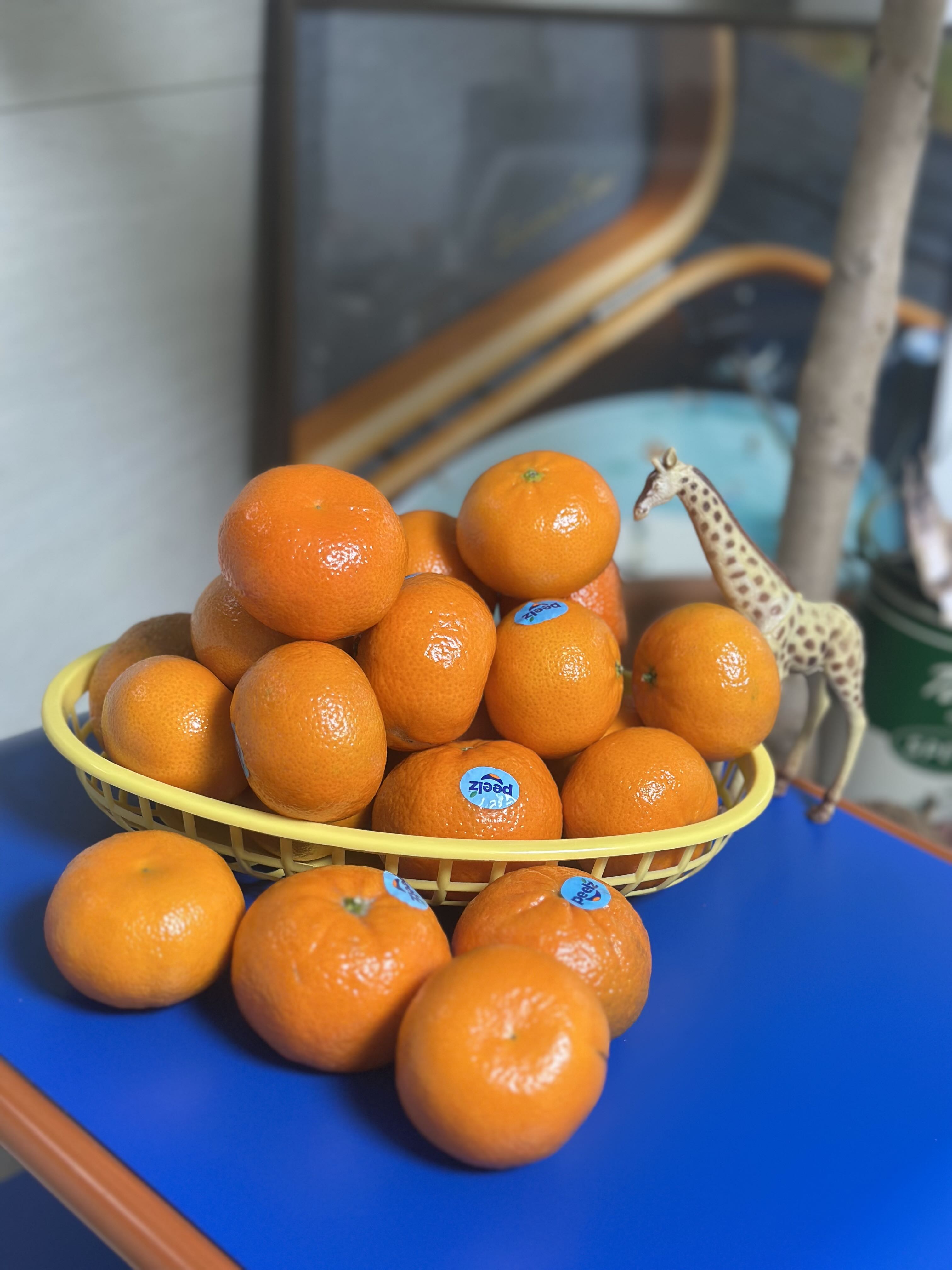9941Ibqy님의 리뷰 이미지