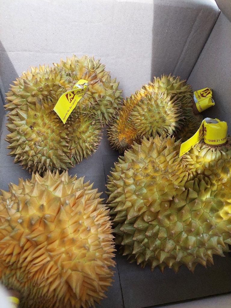 환희승리맘님의 리뷰 이미지