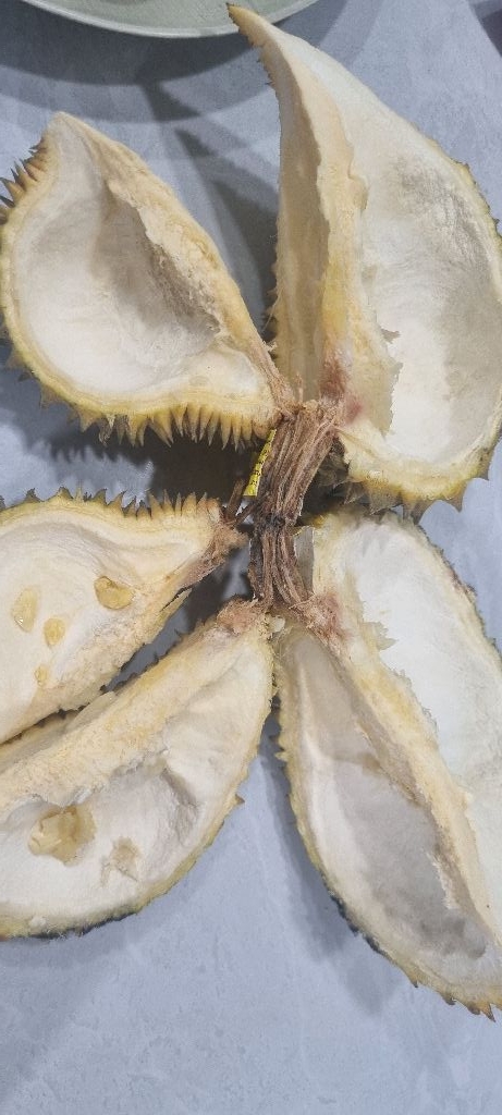 3119Dwbc님의 리뷰 이미지