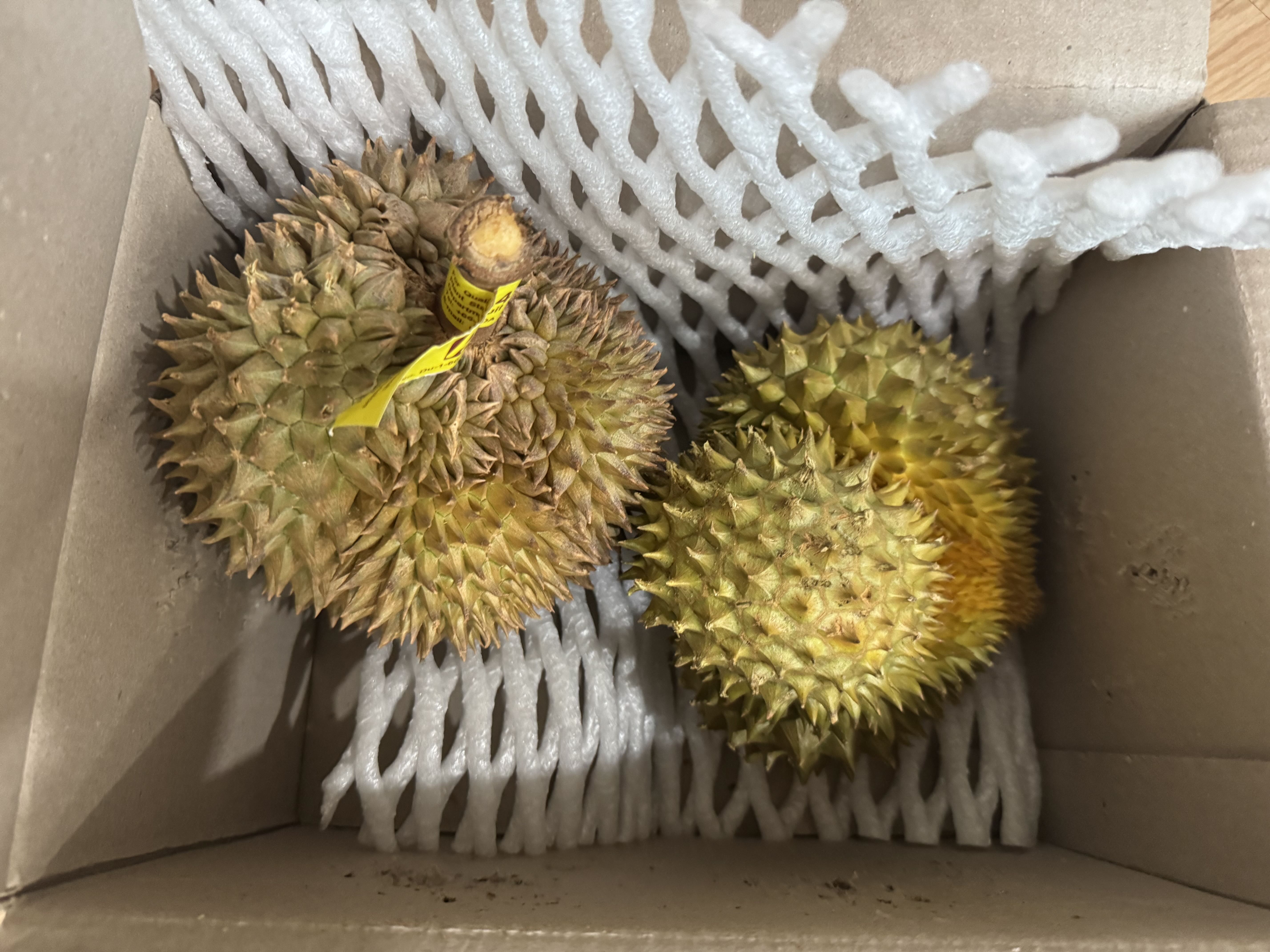 올리브1185님의 리뷰 이미지