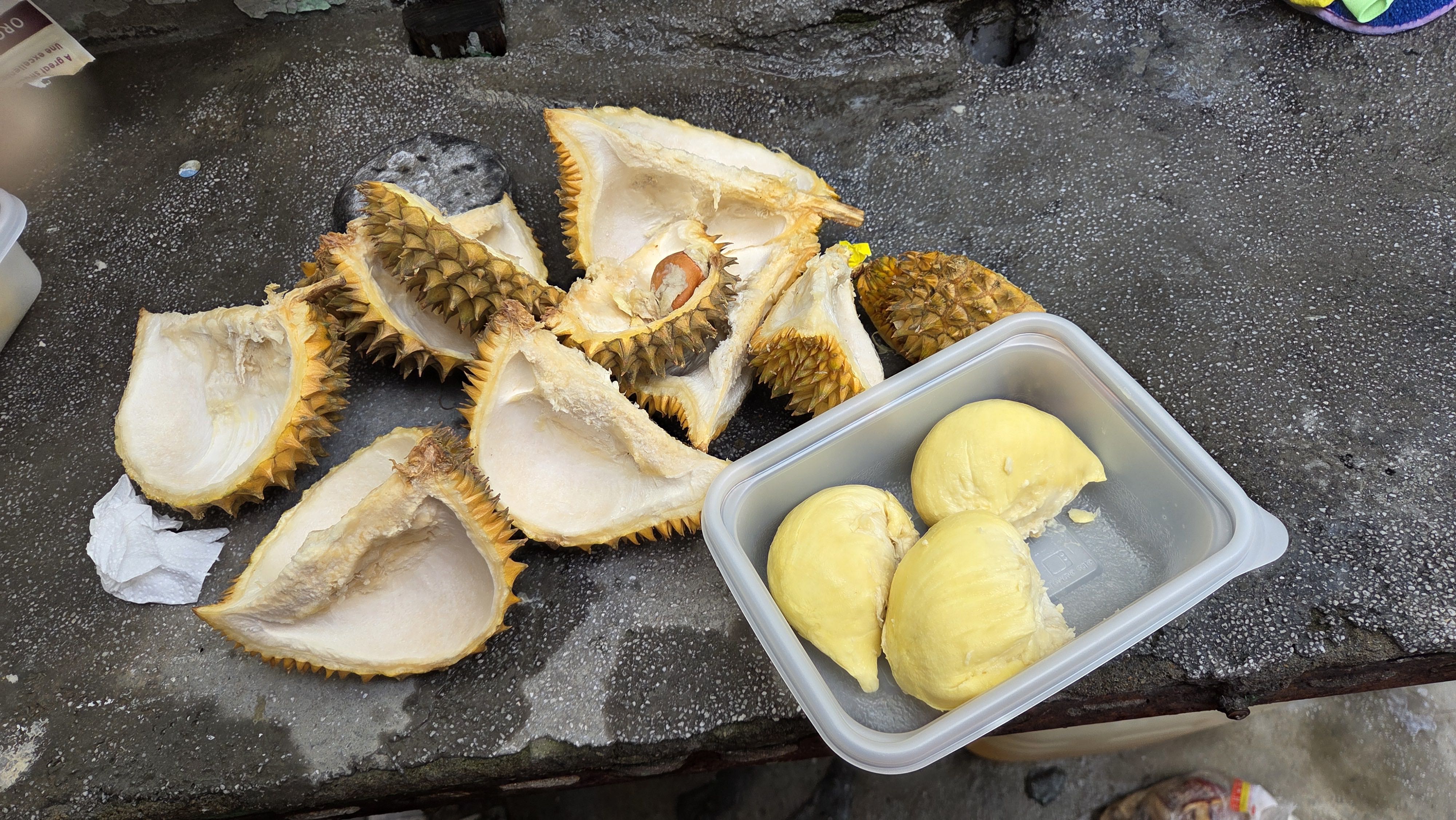 뿁뿁이님의 리뷰 이미지