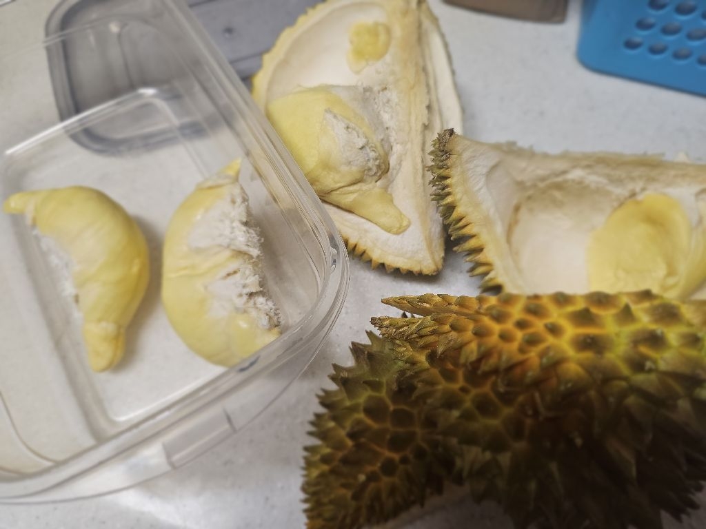 김여나님의 리뷰 이미지