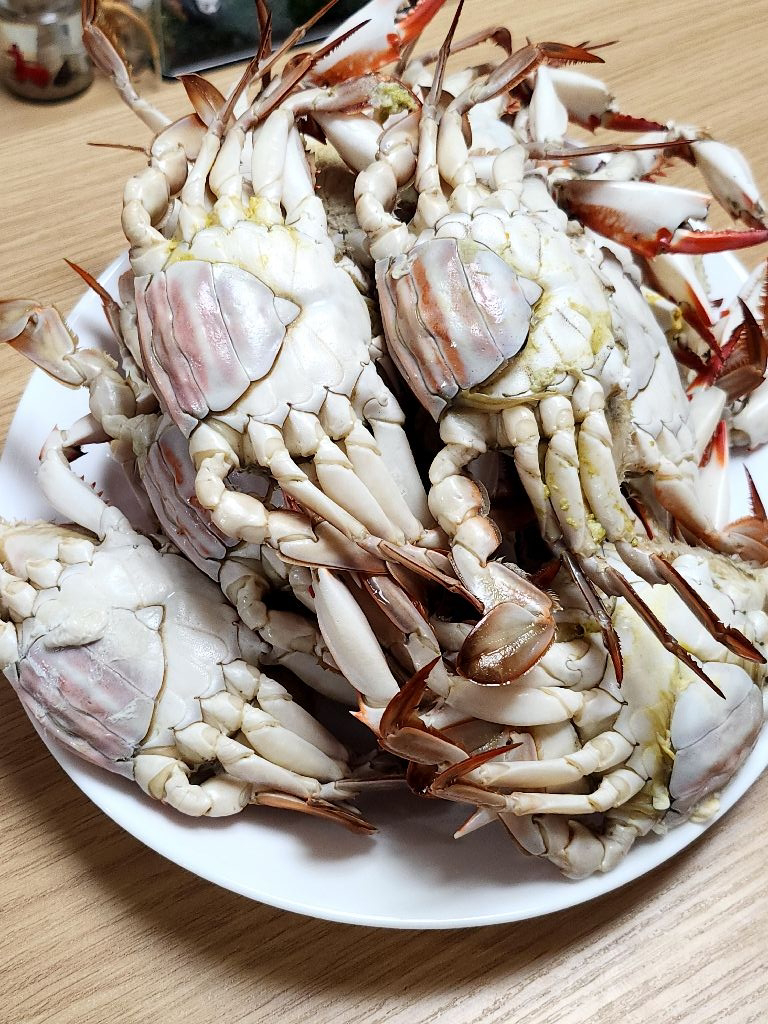 9770님의 리뷰 이미지