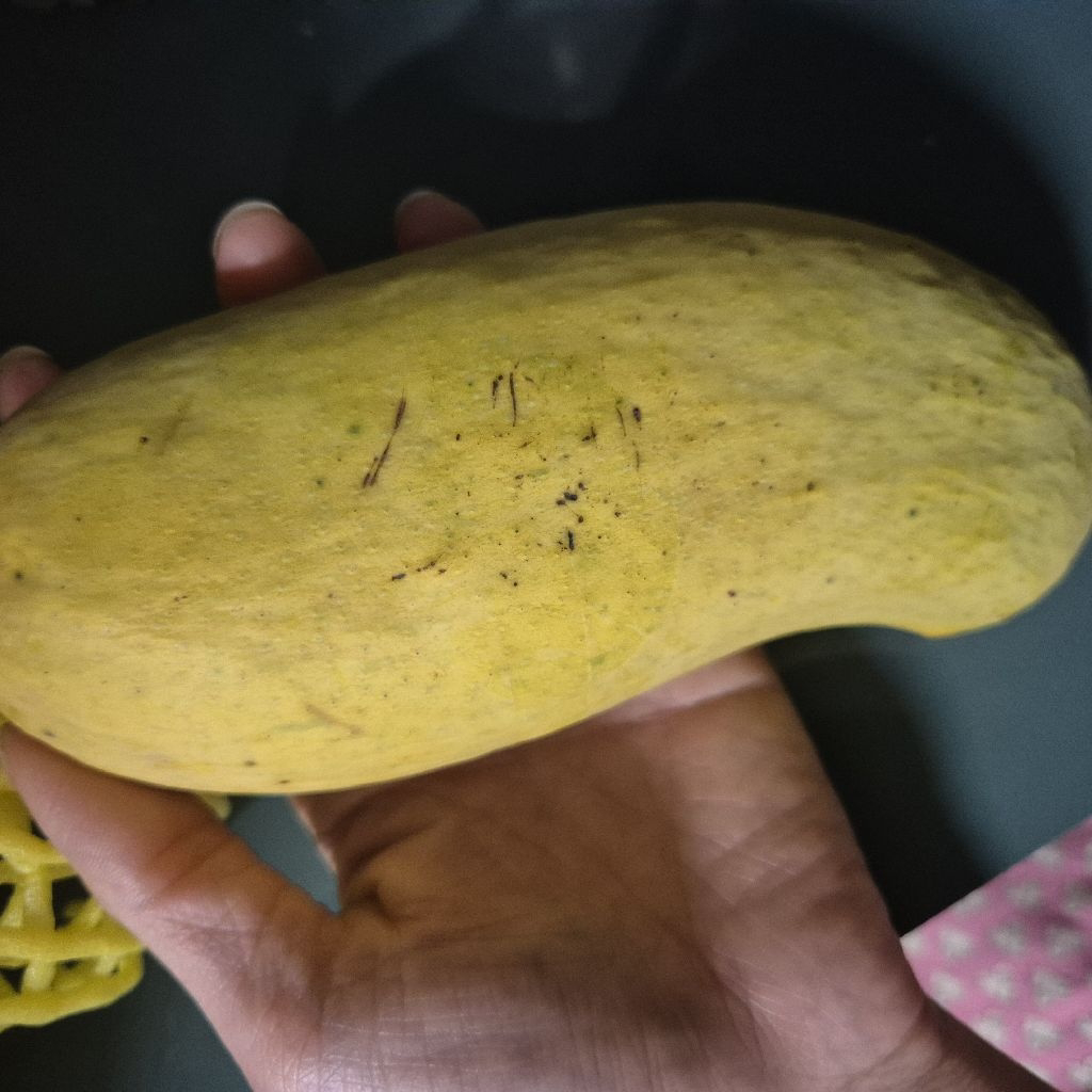 8950님의 리뷰 이미지