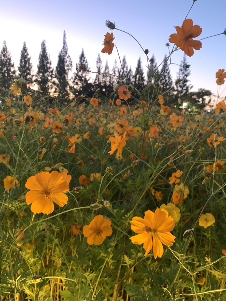 10월 첫째 주 일상 기록(22.10.03 - 22.10.09)_ 챕터투/무신사스탠다드홍대/일산호수공원/원스브로우/짱구랜덤지우개